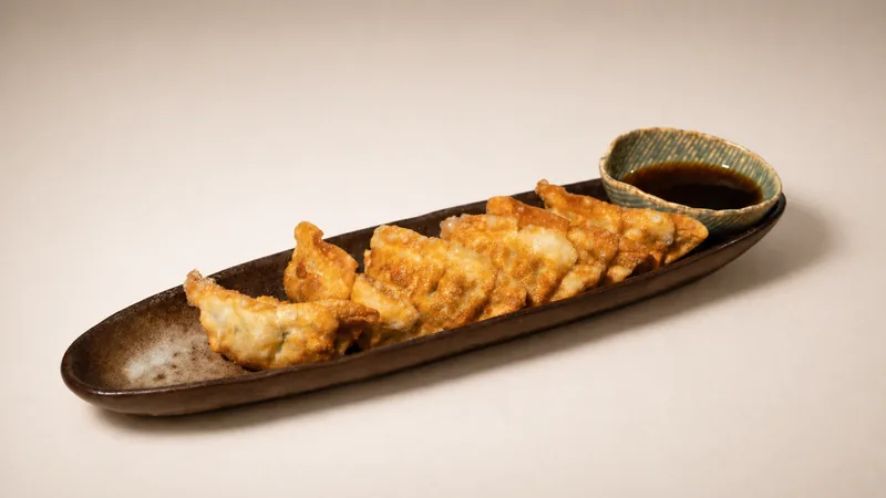 Chicken Gyoza — Chicken dumplings with soy vinegar sauce