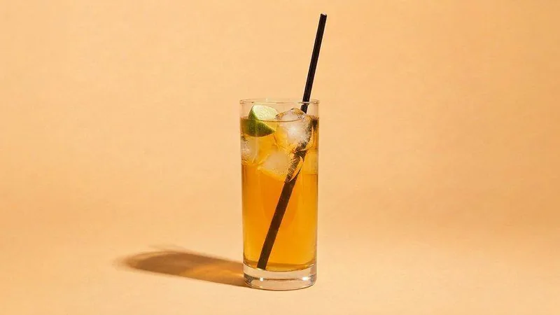 Kombucha mango