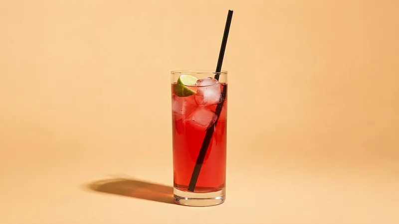 Kombucha wild berries